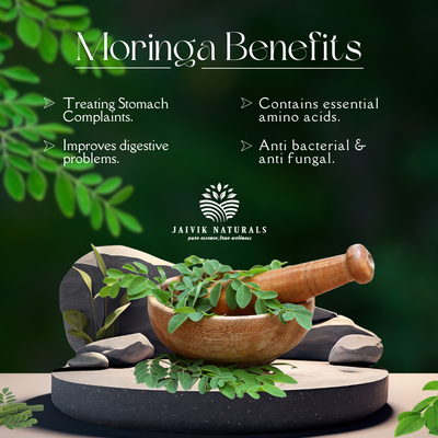 Jaivik Naturals Organic Moringa Leaf Powder - Metabolism & Energy Support - Jaivique Naturals